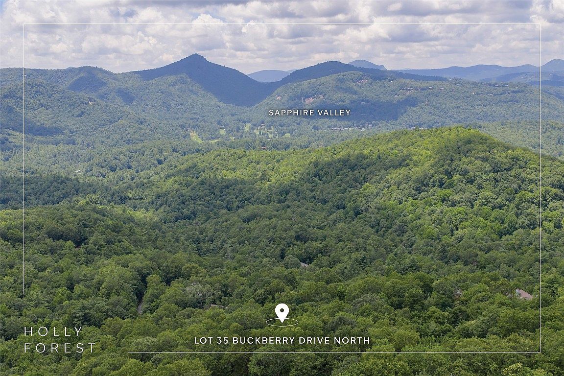 35 Buckberry Dr N Sapphire, NC 28774 - Thumbnail 2