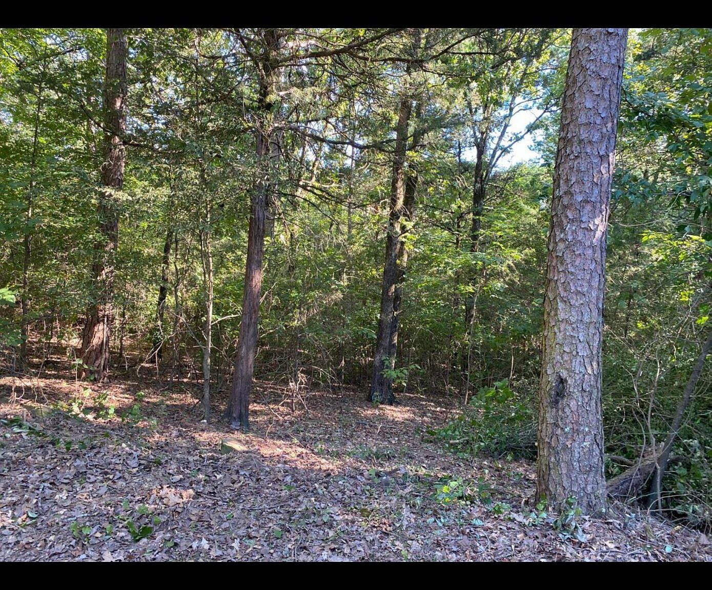 9 Dawn Cir Russellville, AR 72802 - Thumbnail 2