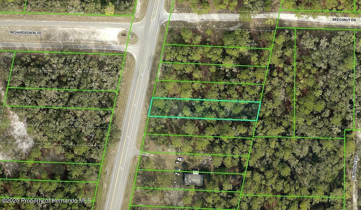 0 Treiman Blvd LOT 15 Webster, FL 33597 - Thumbnail 2