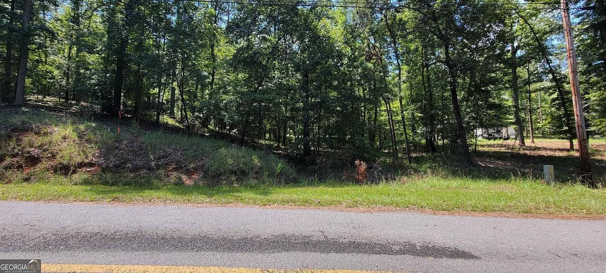 726 Marigold Rd Sparta, GA 31087 - Thumbnail 2