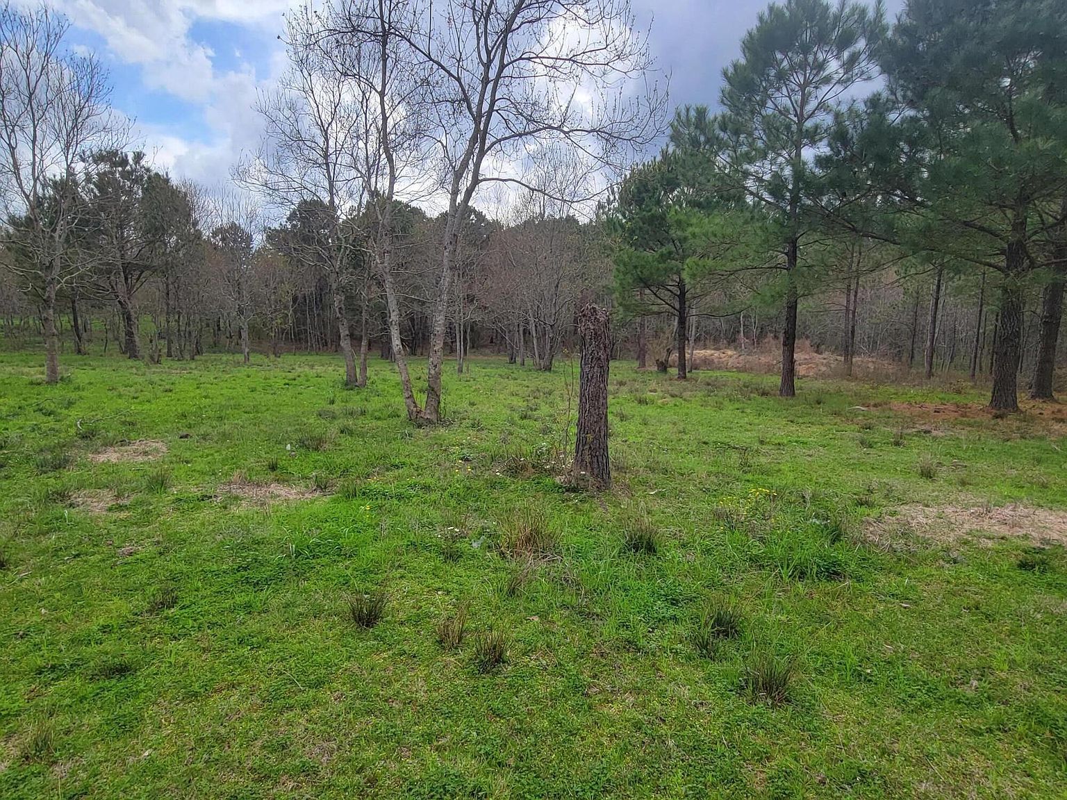 40 Lake Hillsdale Rd Lumberton, MS 39455 - Thumbnail 2