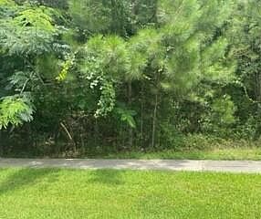 44 Baneberry Trce Hattiesburg, MS 39402 - Thumbnail 2