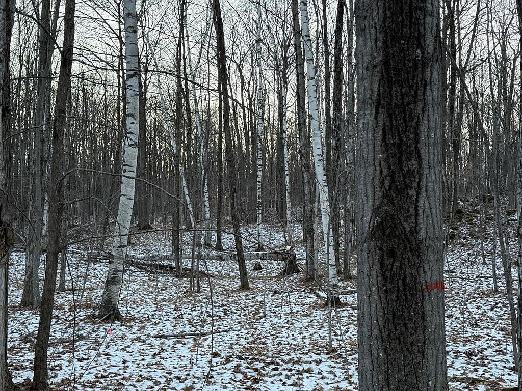 Orchard View Ln Brussels, WI 54204  | Land/Lot