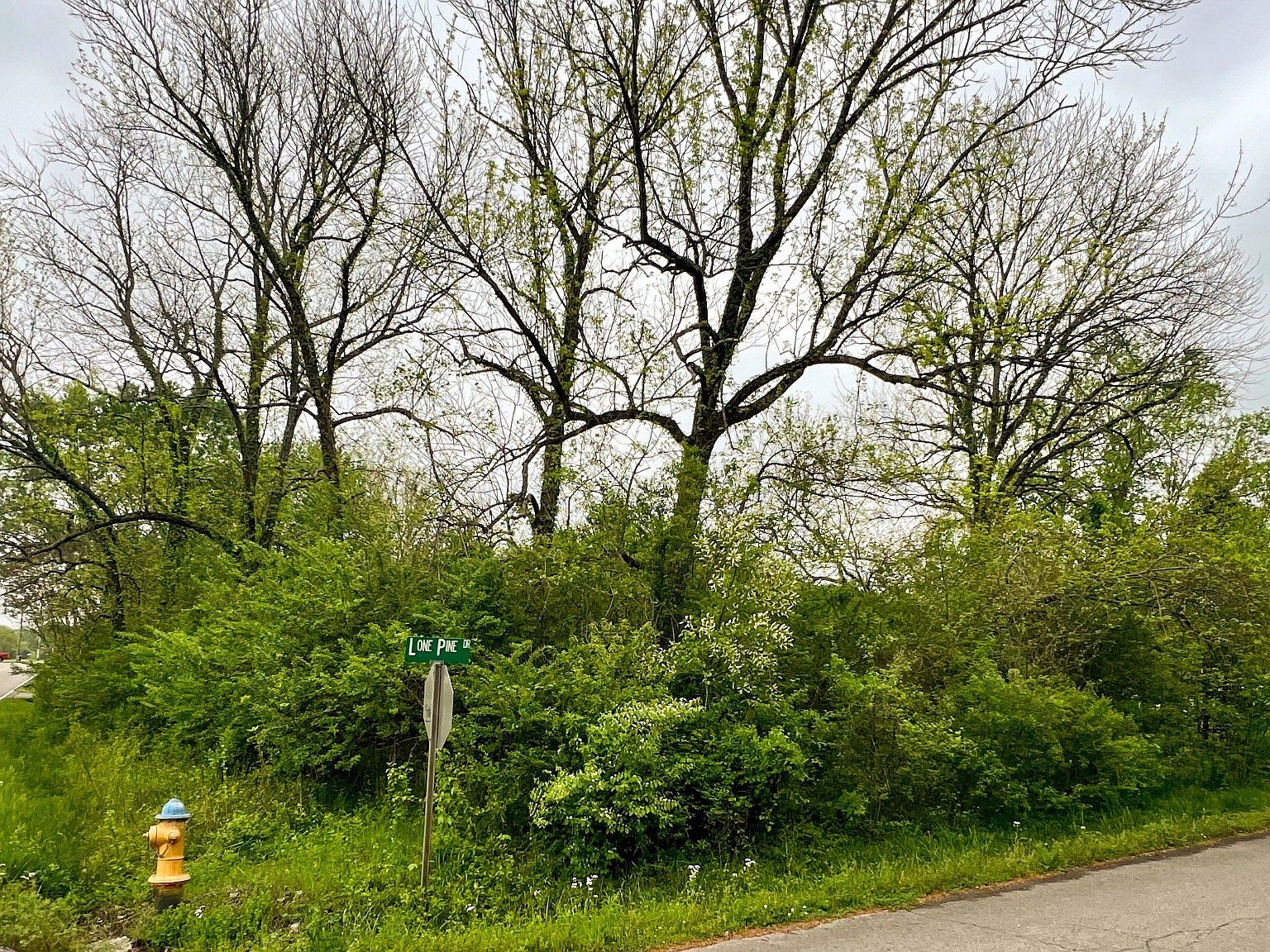 0 Lone Pine Dr Lebanon, TN 37087 - Thumbnail 2