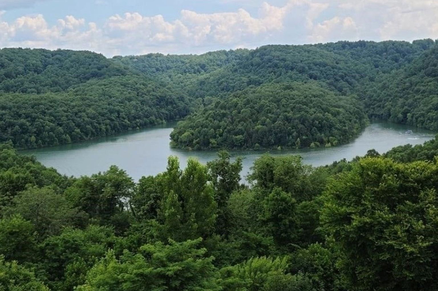 56 Nadia Ln Smithville, TN 37166 - Thumbnail 2