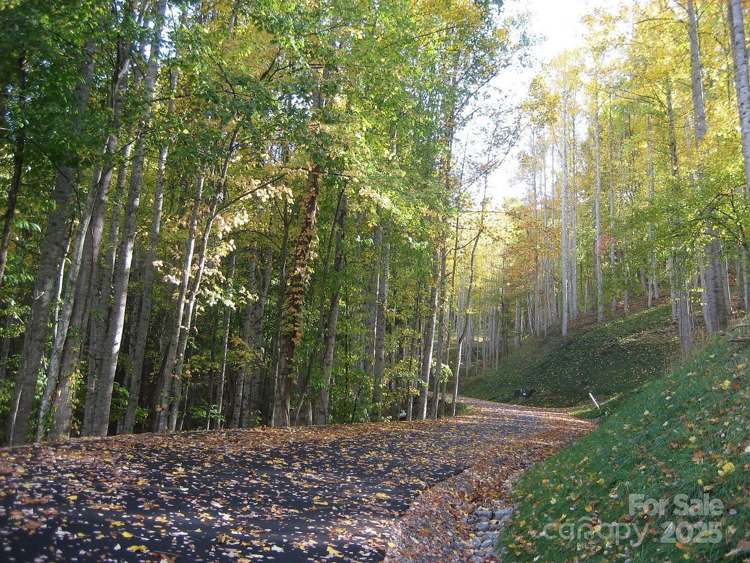 10 Katua Trl #10 Maggie Valley, NC 28751 - Thumbnail 2