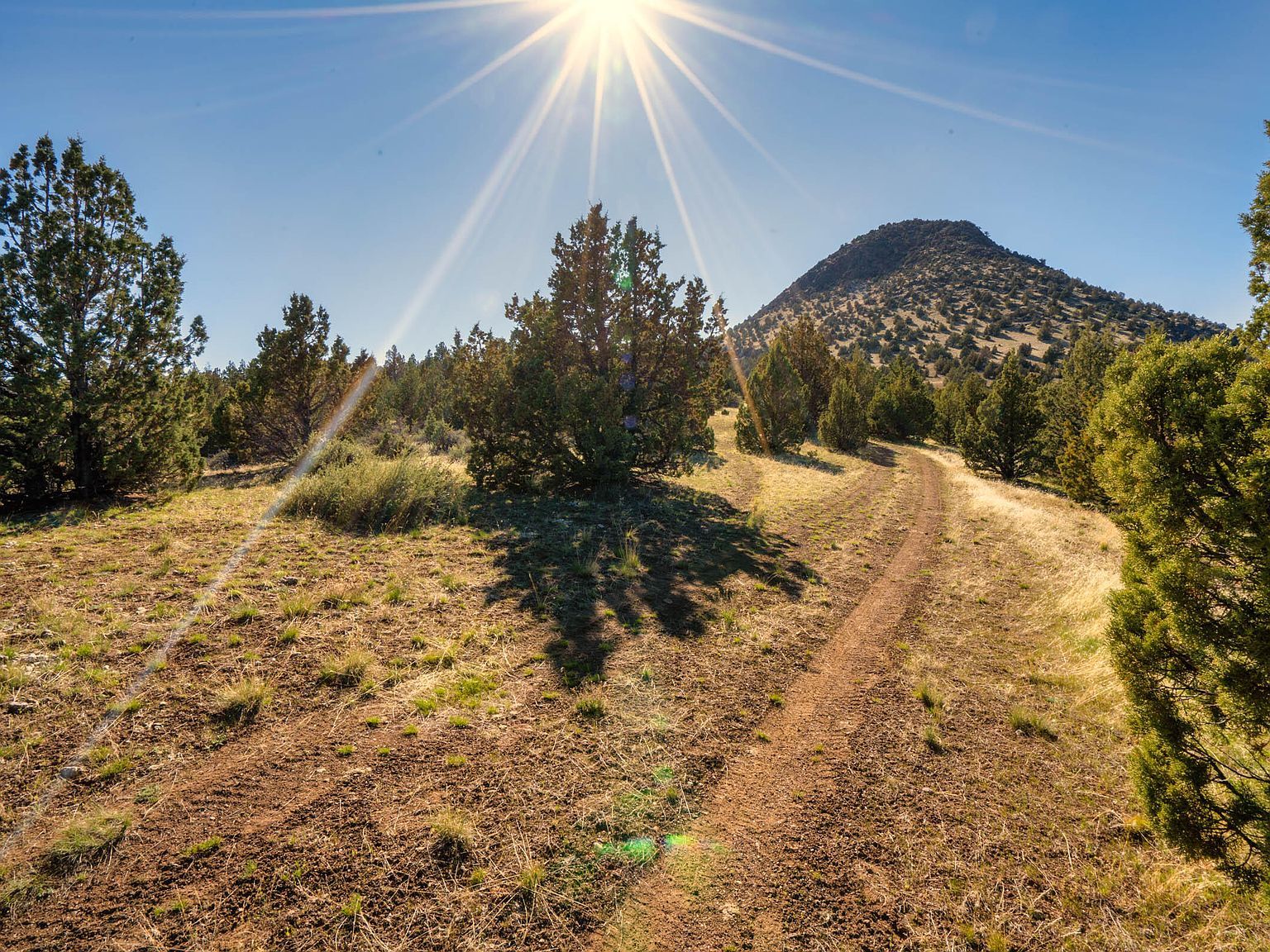 1755 Lost Coyote Ln Mitchell, OR 97750 - Thumbnail 2