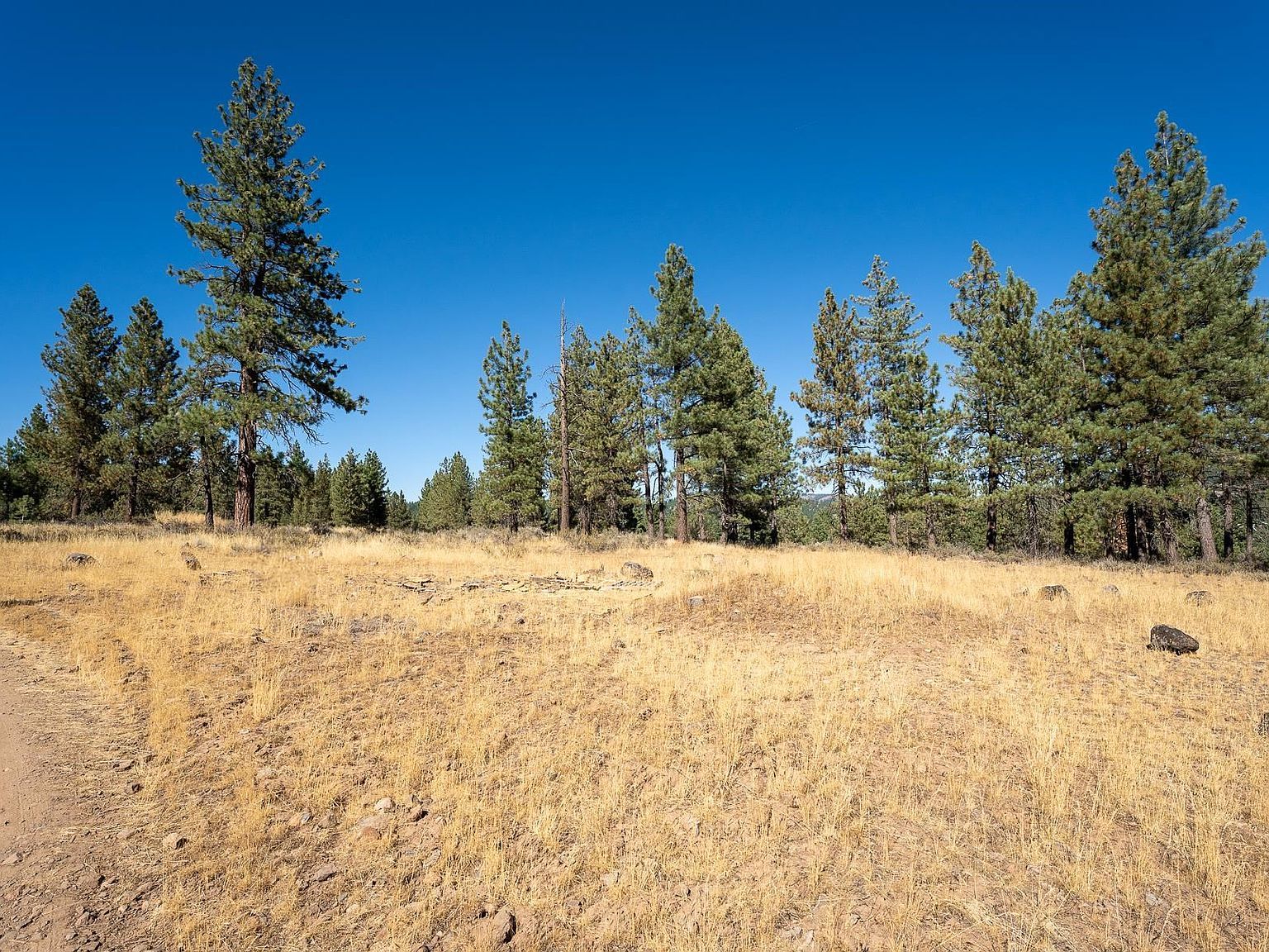 212 Otter Way Portola, CA 96122 - Thumbnail 2