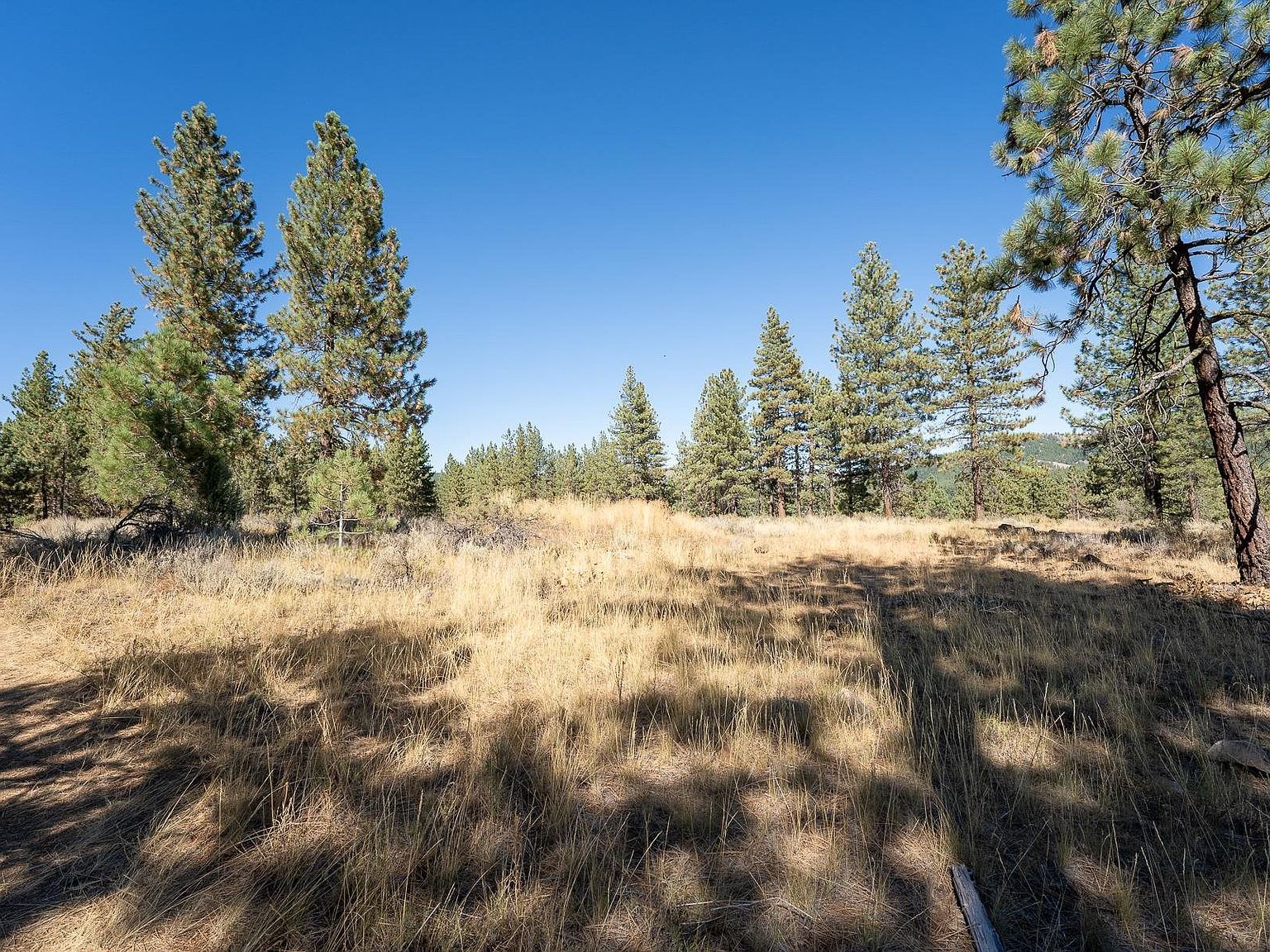 202 Otter Way Portola, CA 96122 - Thumbnail 2