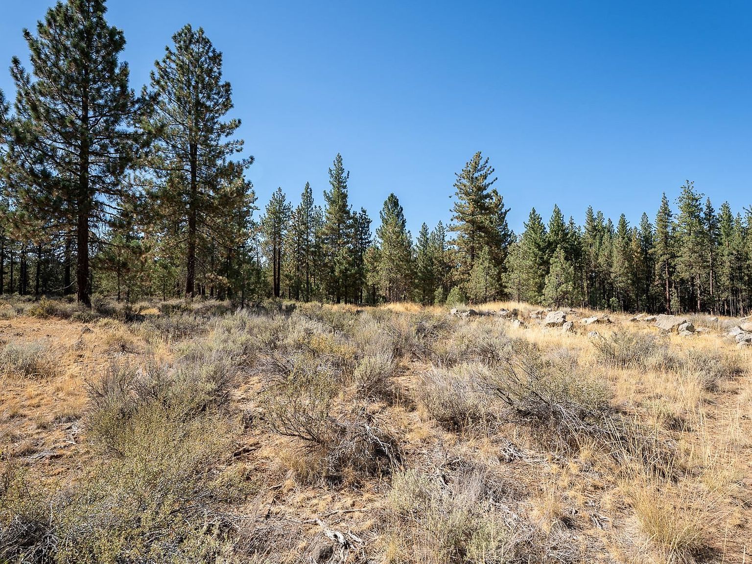 152 Otter Way Portola, CA 96122 - Thumbnail 2