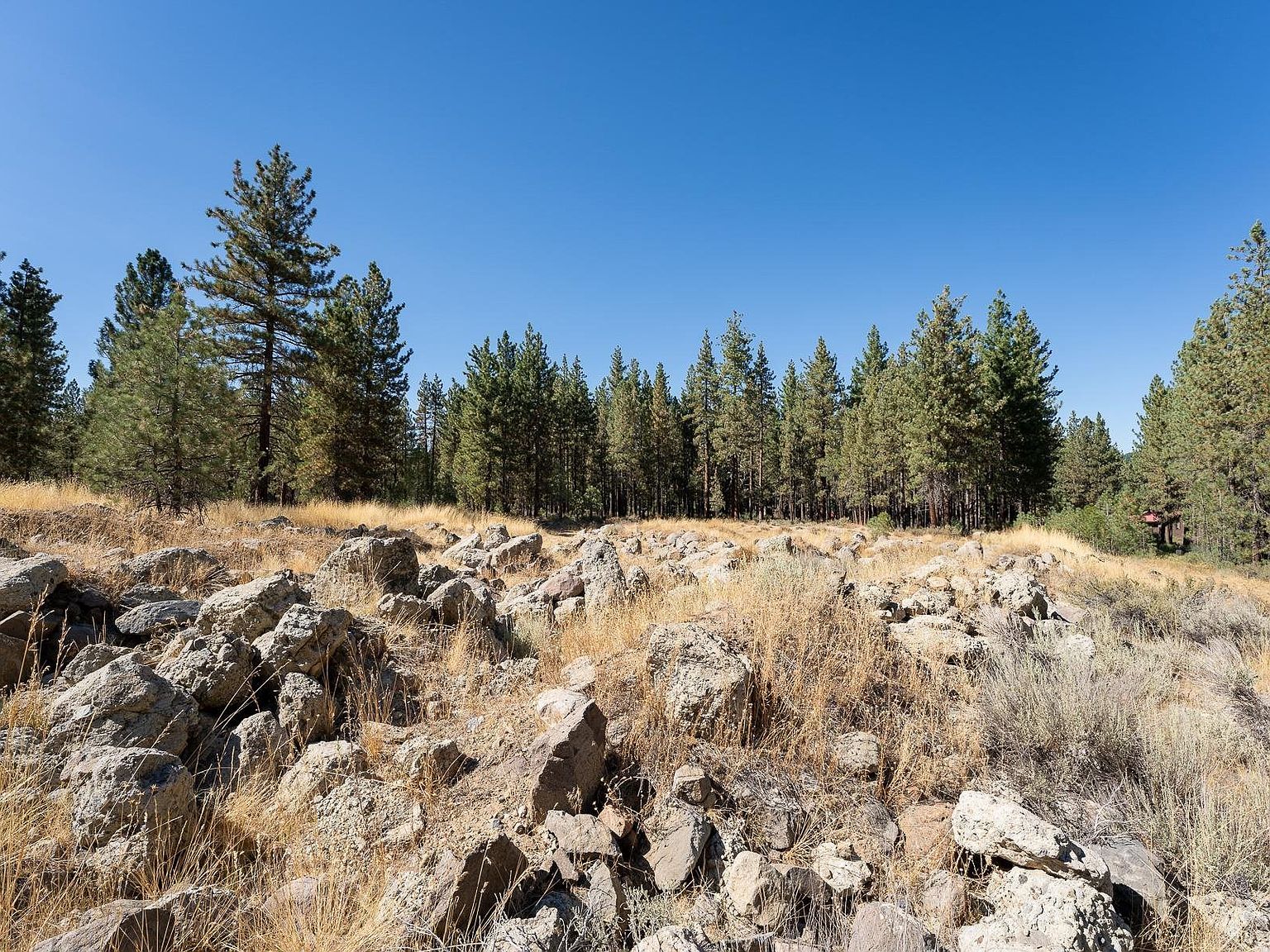 550 2nd St Portola, CA 96122 - Thumbnail 2