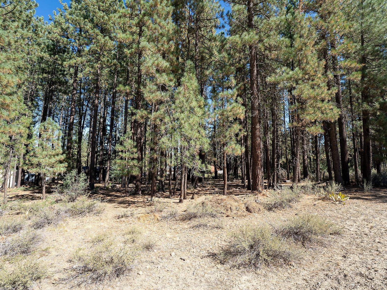 149 Otter Way Portola, CA 96122 - Thumbnail 2