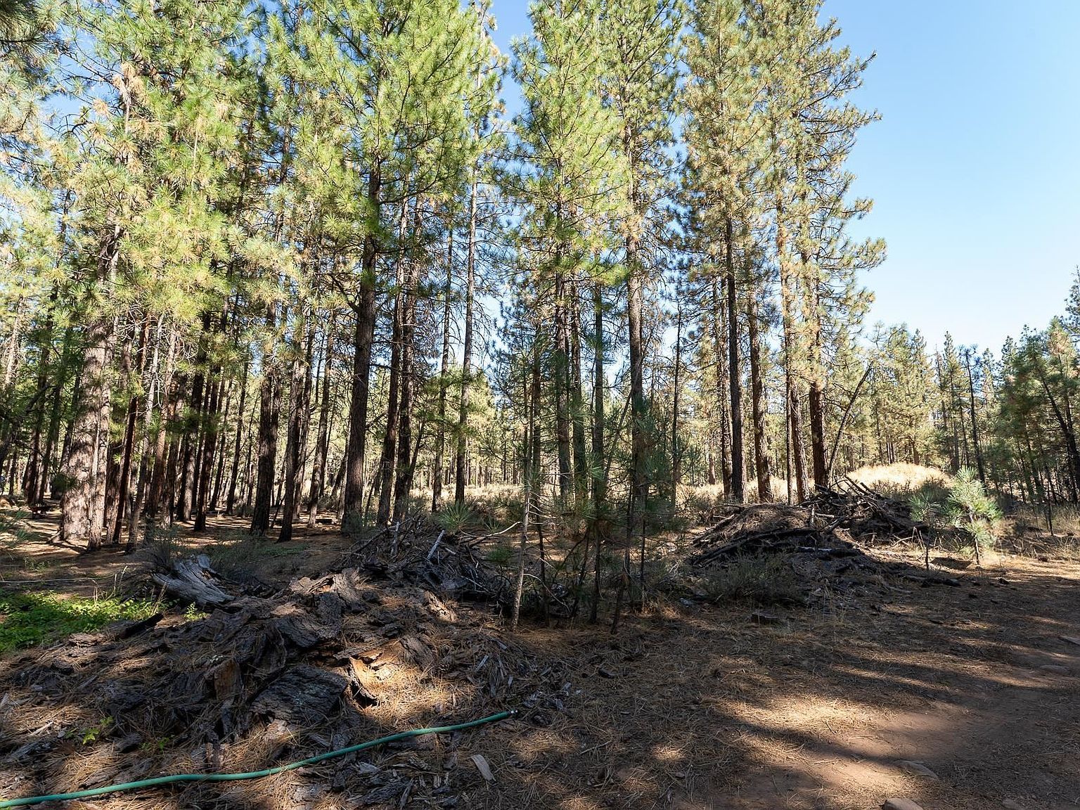 247 Bear Way Portola, CA 96122 - Thumbnail 2