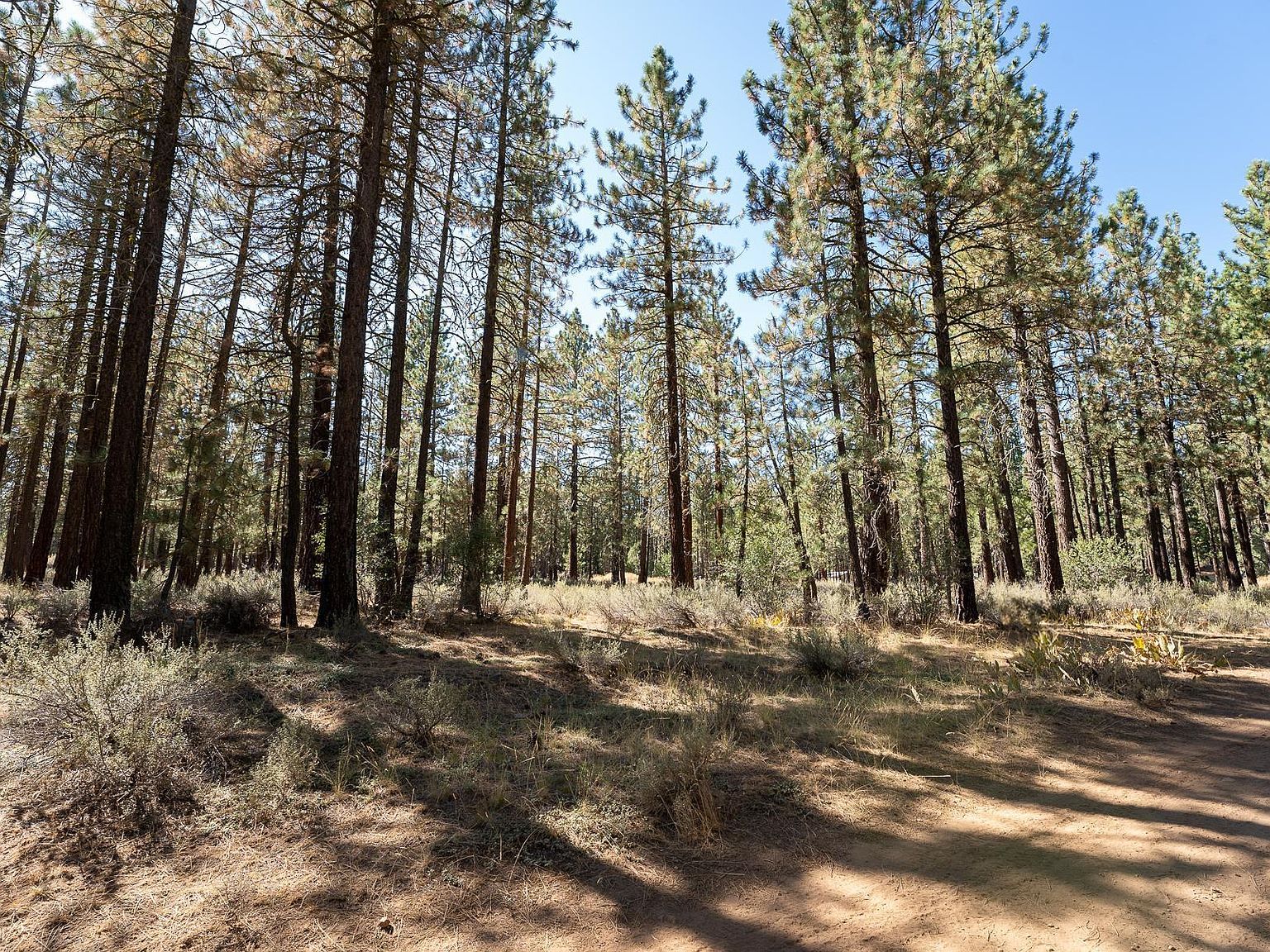 225 Cougar Way Portola, CA 96122 - Thumbnail 2