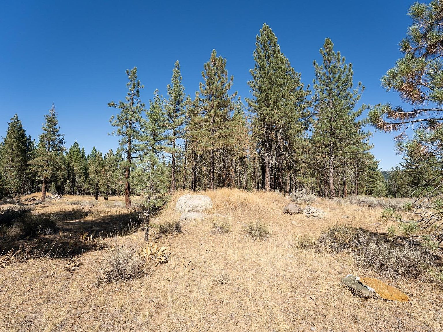 215 Cougar Way Portola, CA 96122 - Thumbnail 2