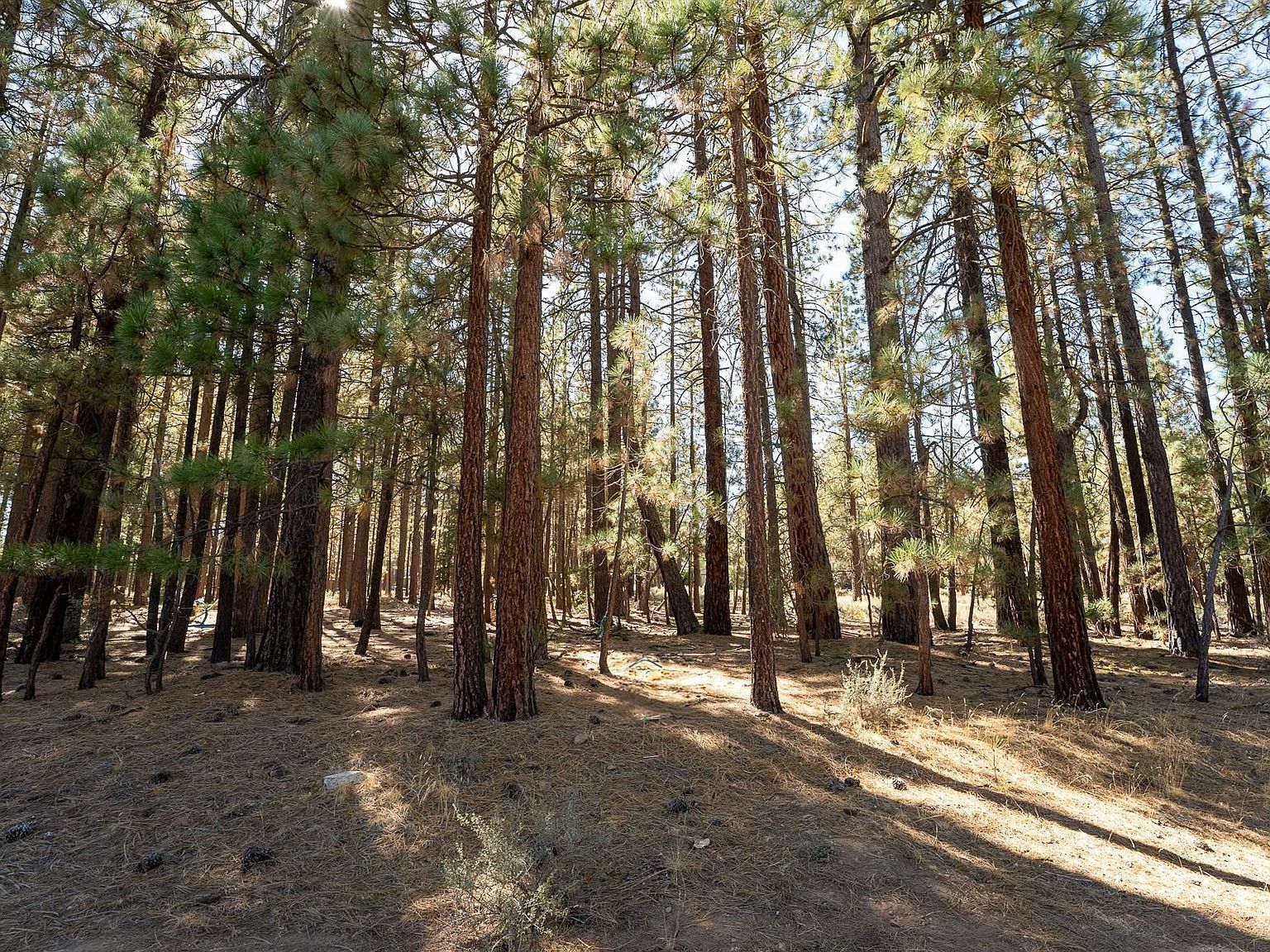 750 3rd St Portola, CA 96122 - Thumbnail 2