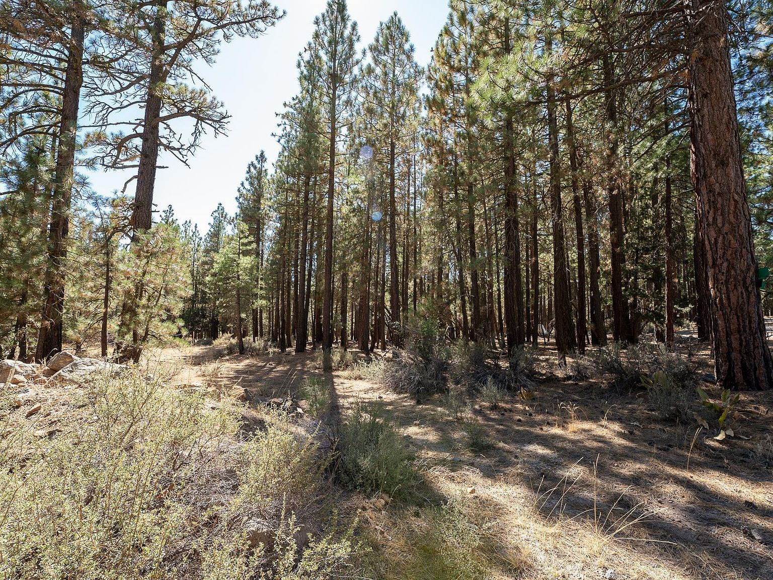 900 3rd St Portola, CA 96122 - Thumbnail 2