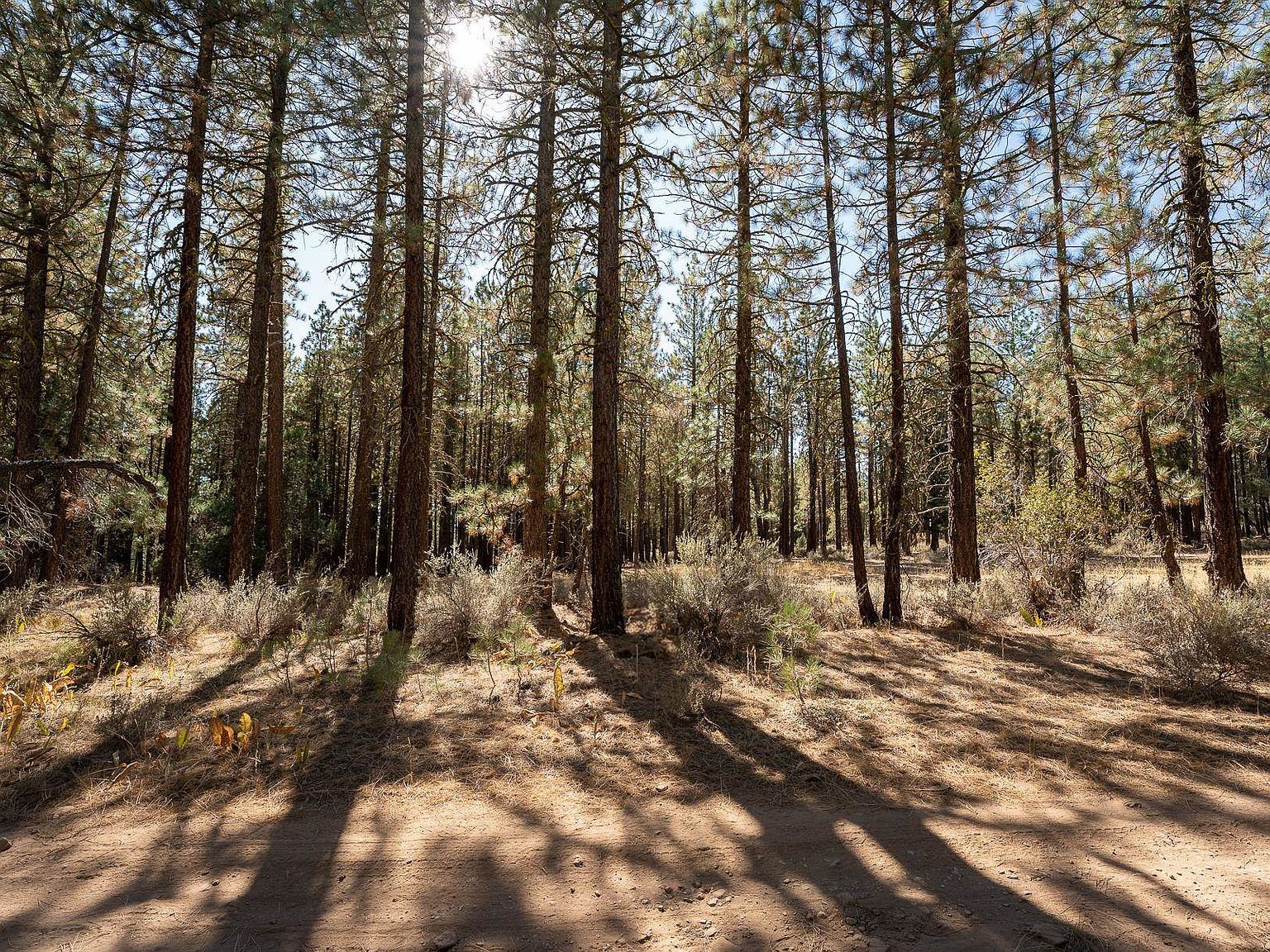 913 3rd St Portola, CA 96122 - Thumbnail 2