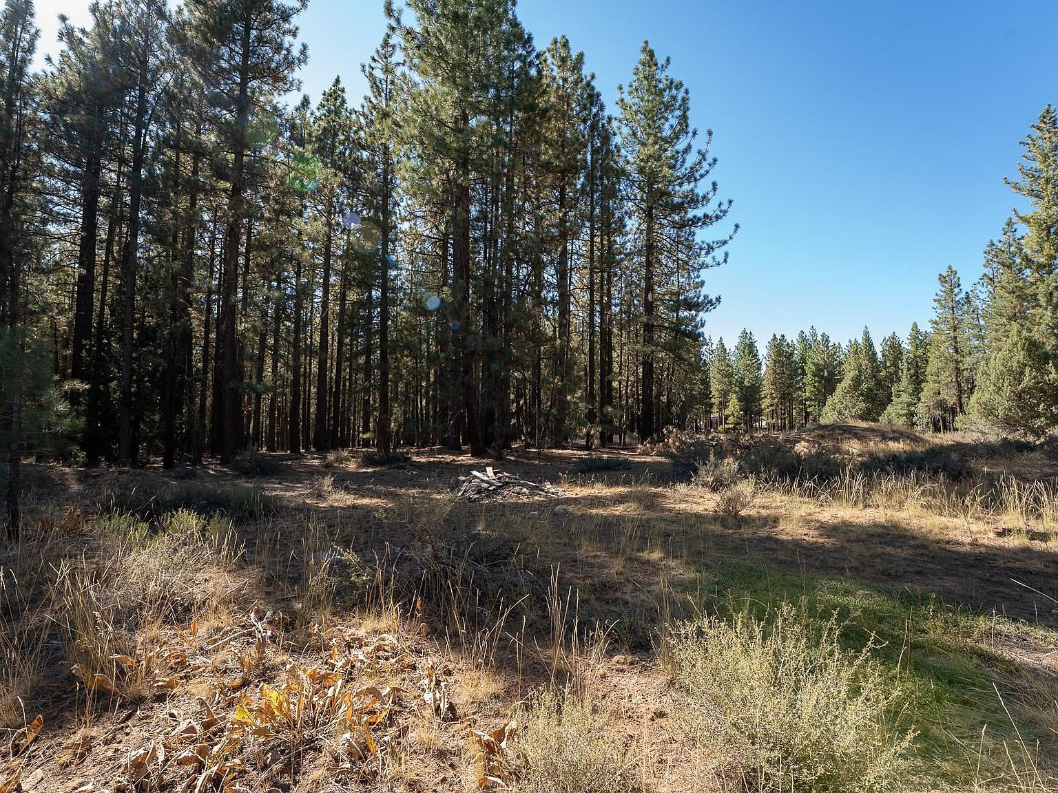 149 Bear Way Portola, CA 96122 - Thumbnail 2