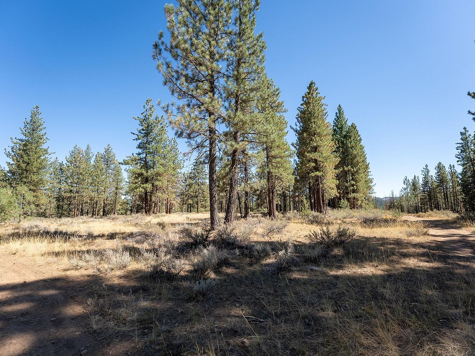 167 Cougar Way Portola, CA 96122 - Thumbnail 2