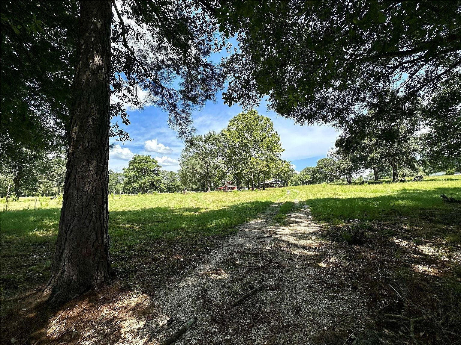 1080 Andrew Jackson Dr Livingston, TX 77351 - Thumbnail 2