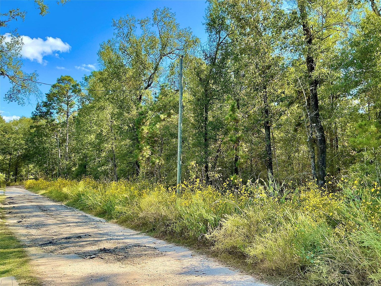 Wendy Way Livingston, TX 77351 - Thumbnail 2