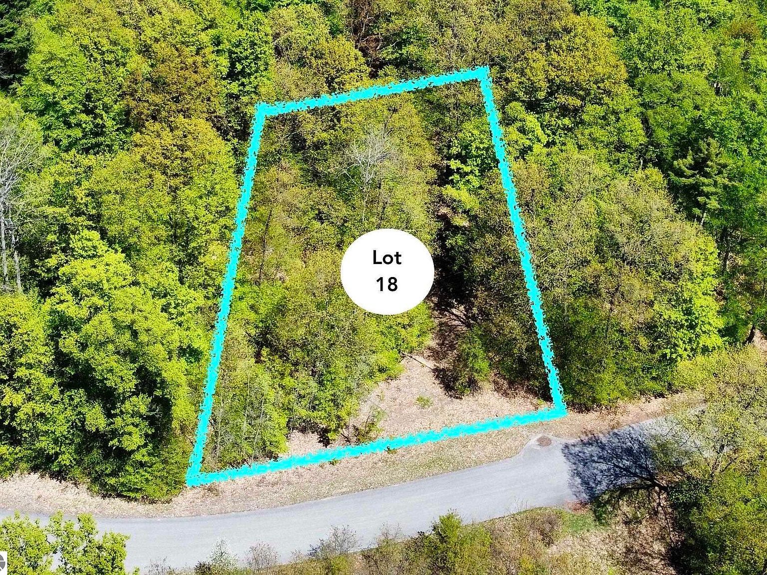 LOT 18 S Club Dr Cedar, MI 49621 - Thumbnail 2