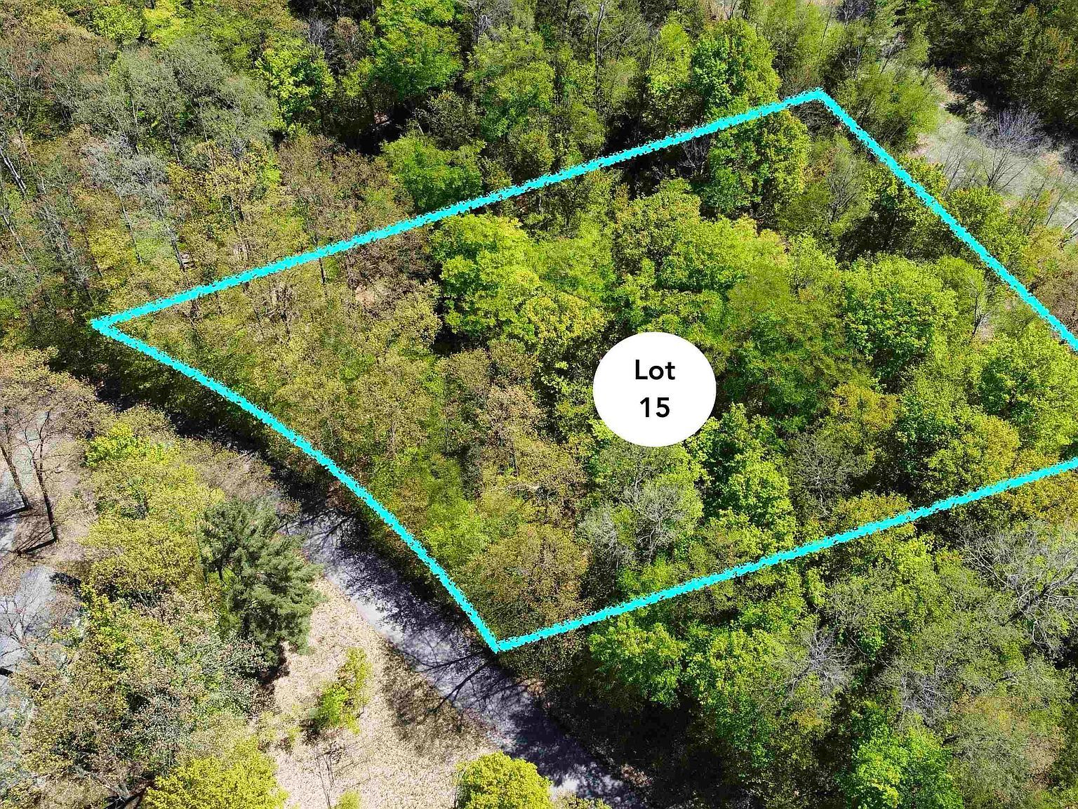 LOT 15 S Club Dr Cedar, MI 49621 - Thumbnail 2