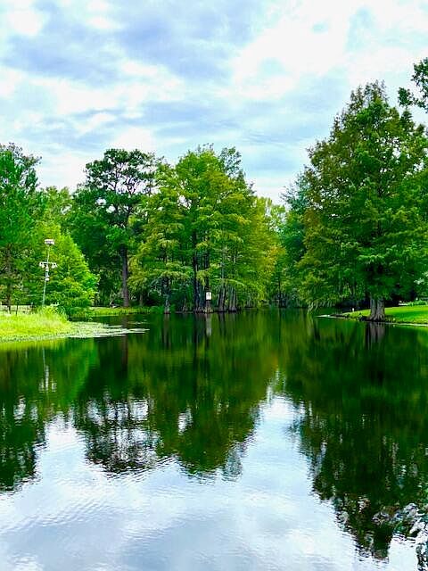 2642 Francis Marion Blvd Summerton, SC 29148 - Thumbnail 2