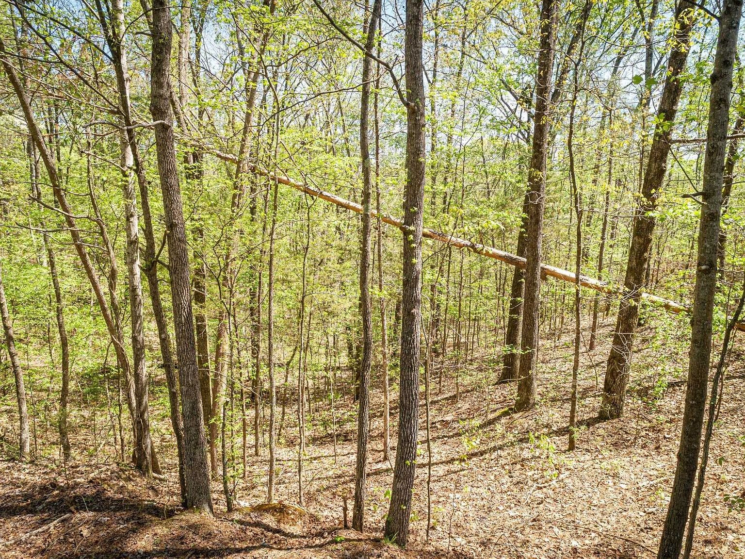 172 & 165 Fawn Ridge Rd Parsons, TN 38363 - Thumbnail 2