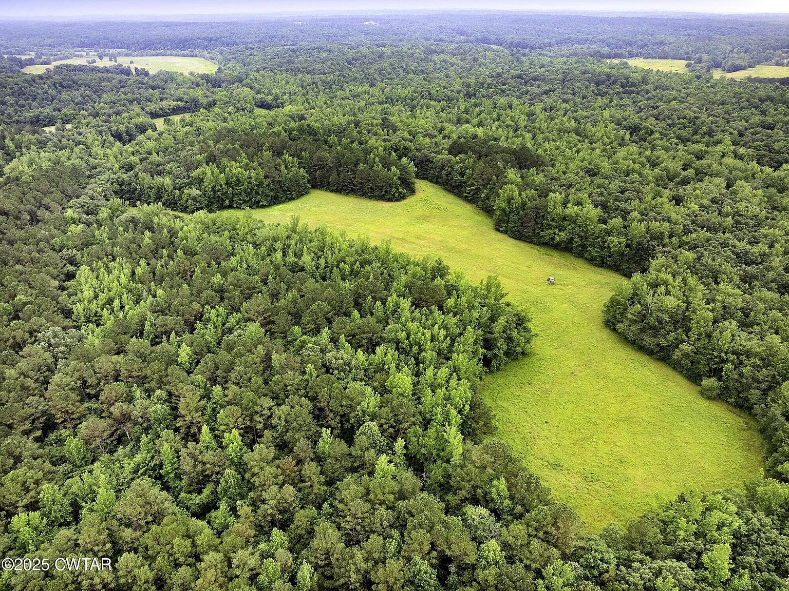 1303 Pugh Rd, Holladay, TN, 38341 - Thumbnail 2