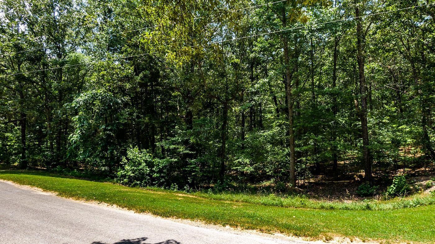 334 Logger Ln Cedar Grove, TN 38321 - Thumbnail 2