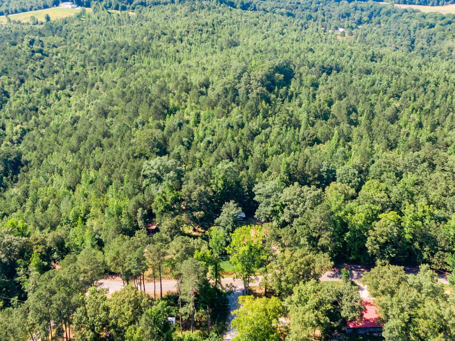 546 N Morgan Creek Rd Sugar Tree, TN 38380 - Thumbnail 2