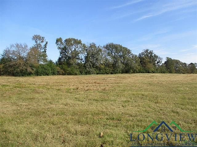 0 E Us Highway 79 Henderson, TX 75652 - Thumbnail 2