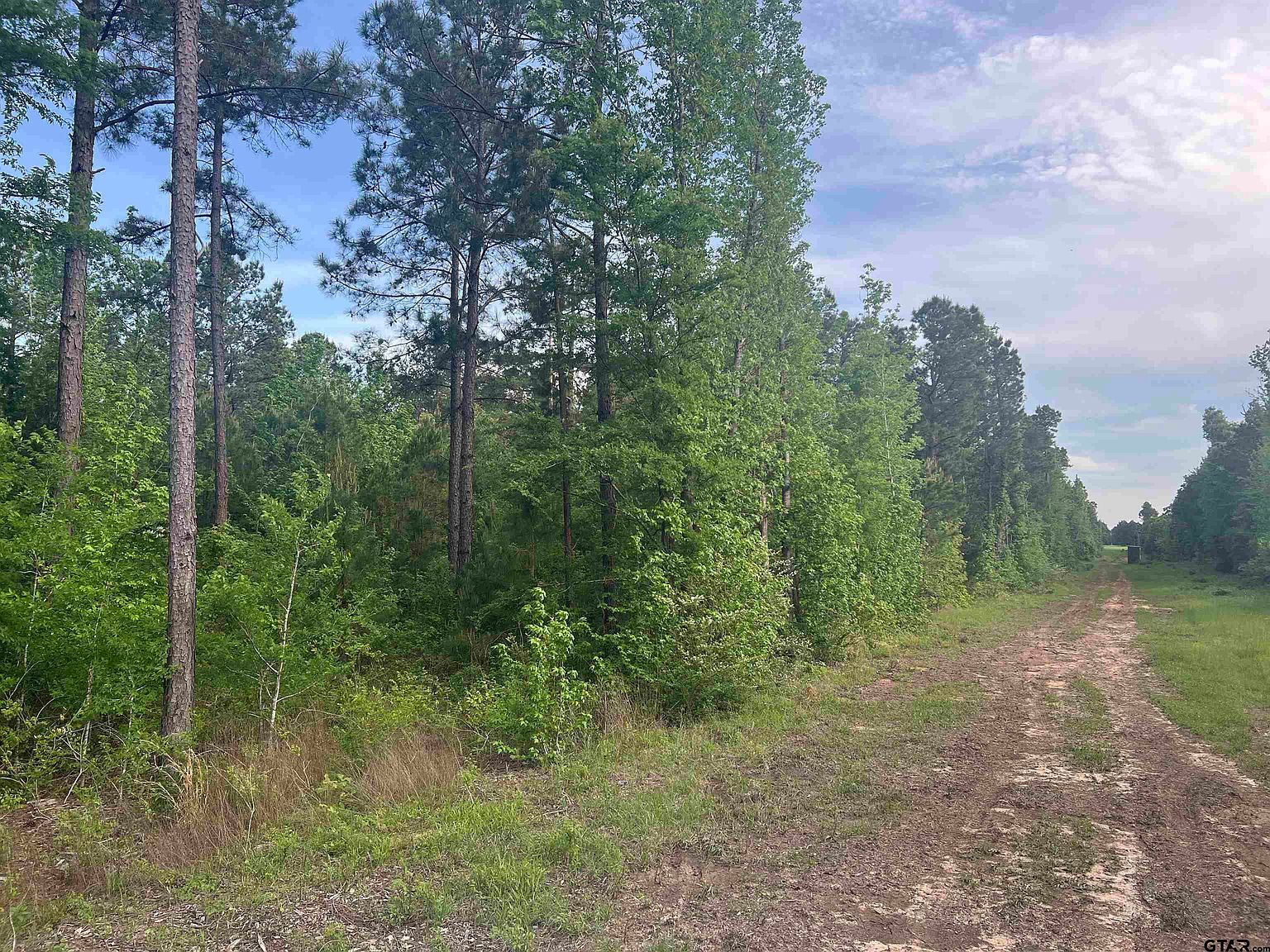 TRACT 1 County Road 477 W Henderson, TX 75654 - Thumbnail 2