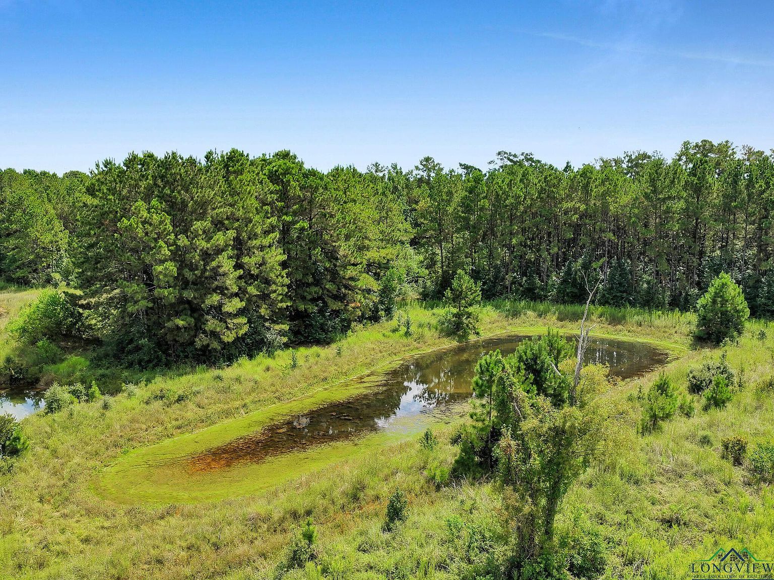 96 Tbd Us Hwy Kirbyville, TX 75956 - Thumbnail 2