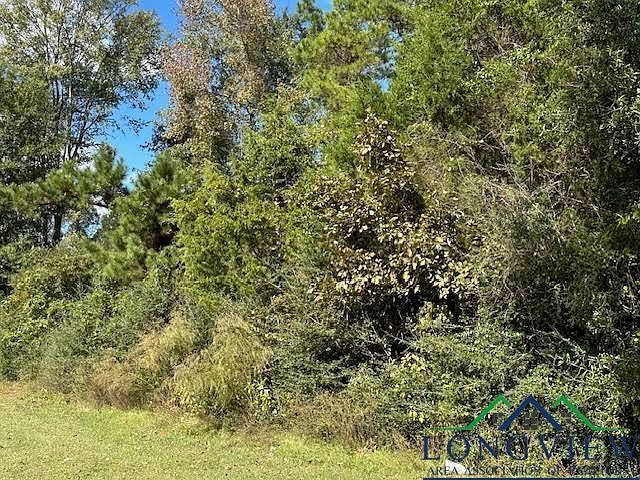 County Road 4682 Carthage, TX 75633 - Thumbnail 2