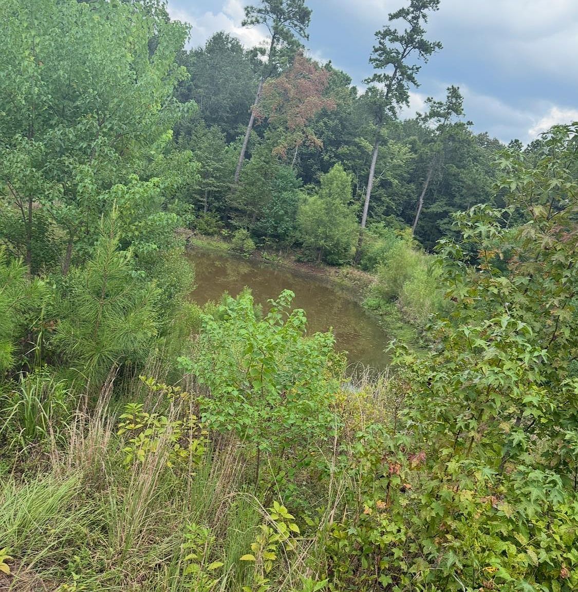 12543 N Fm 225 Cushing, TX 75760 - Thumbnail 2