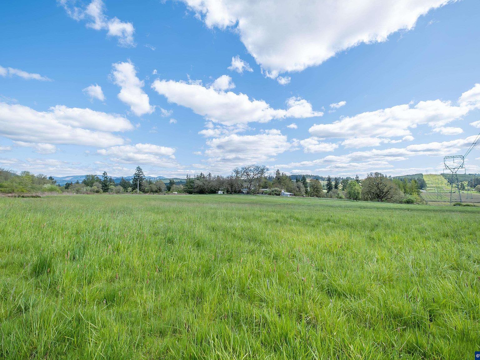 Mount Pleasant Rd #3, Lebanon, OR, 97355 - Thumbnail 2