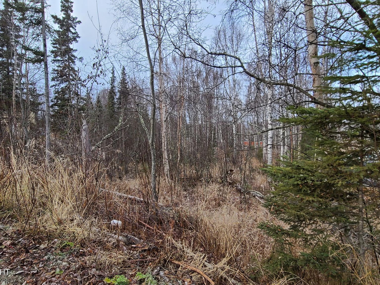 9111 W Sammie Cir Wasilla, AK 99623 - Thumbnail 2