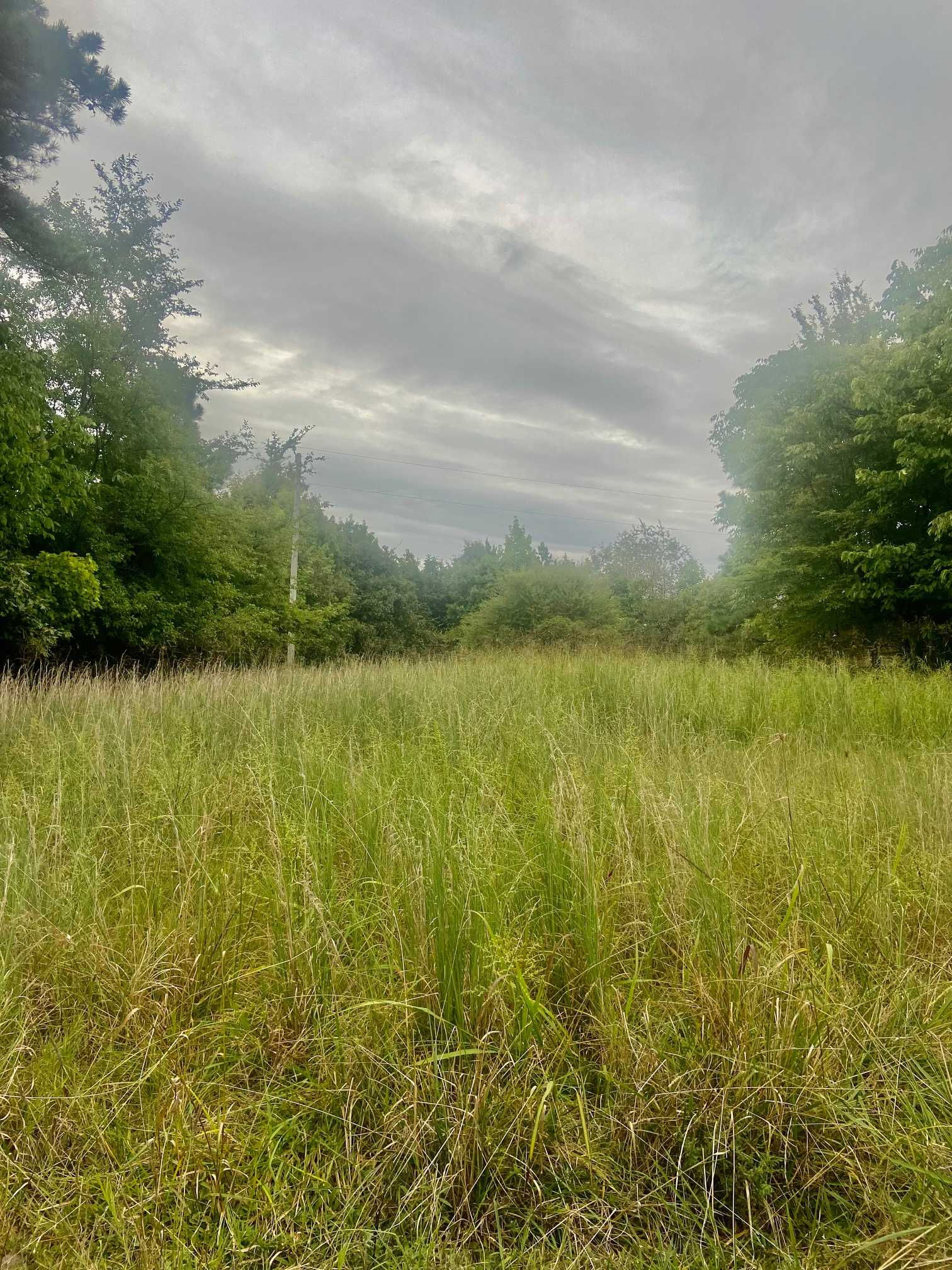 2053 Greene Road 624, Paragould, AR, USA, 72450  | Land/Lot