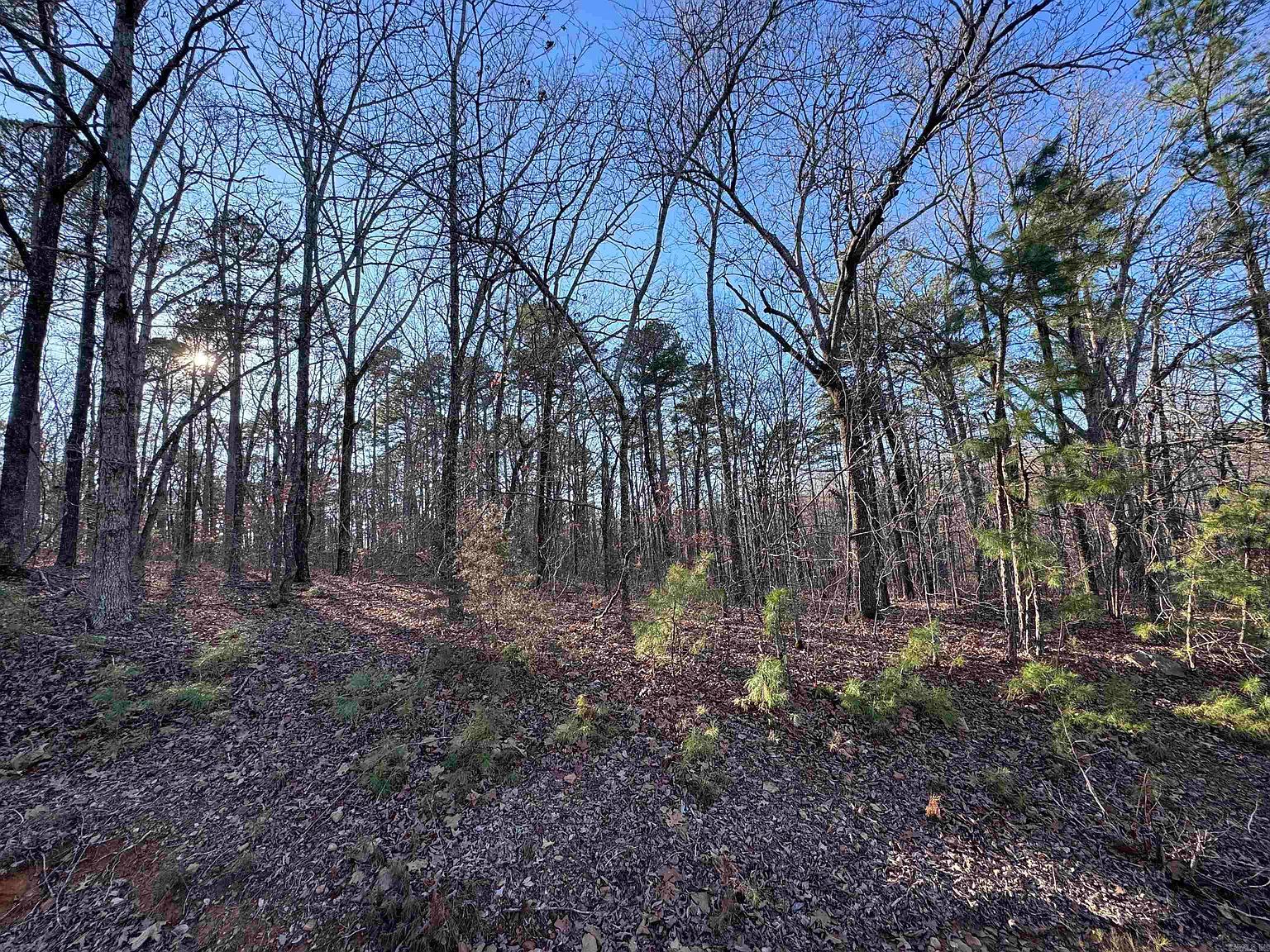 0 Miller Point Rd N Quitman, AR 72131 - Thumbnail 2