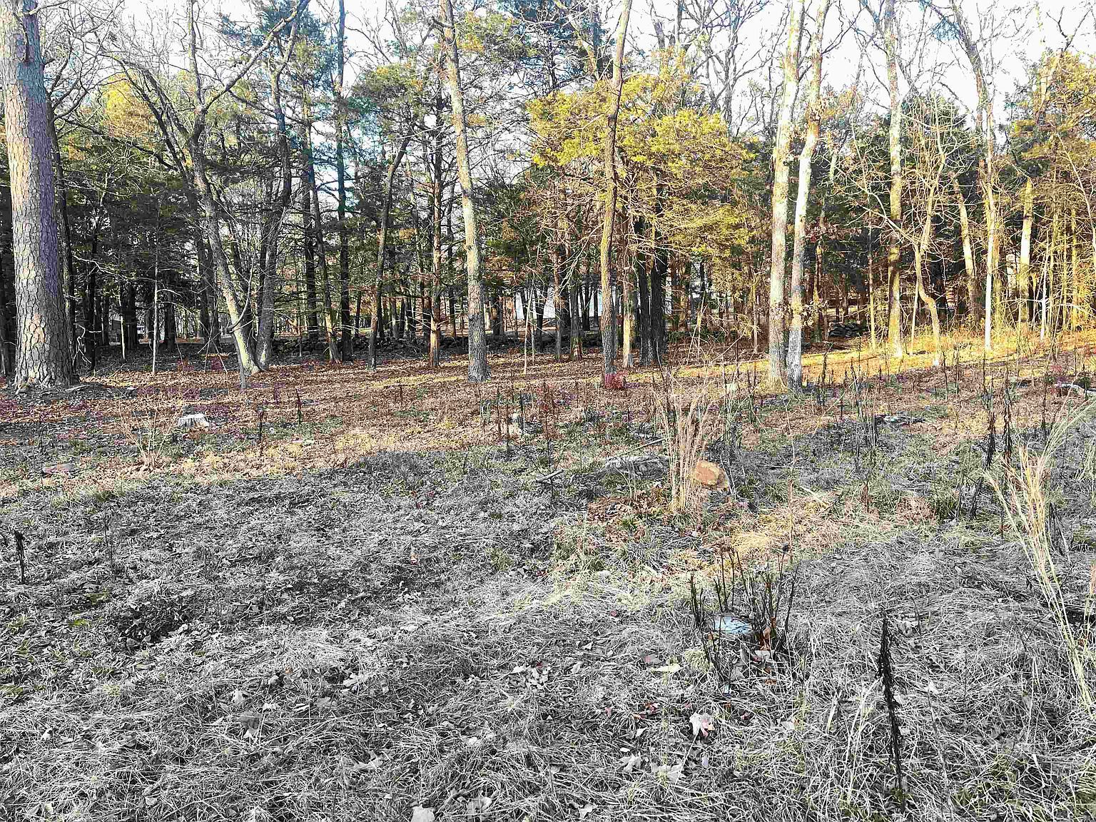 257 Cagle Rock Cir LOT 73 Russellville, AR 72802 - Thumbnail 2