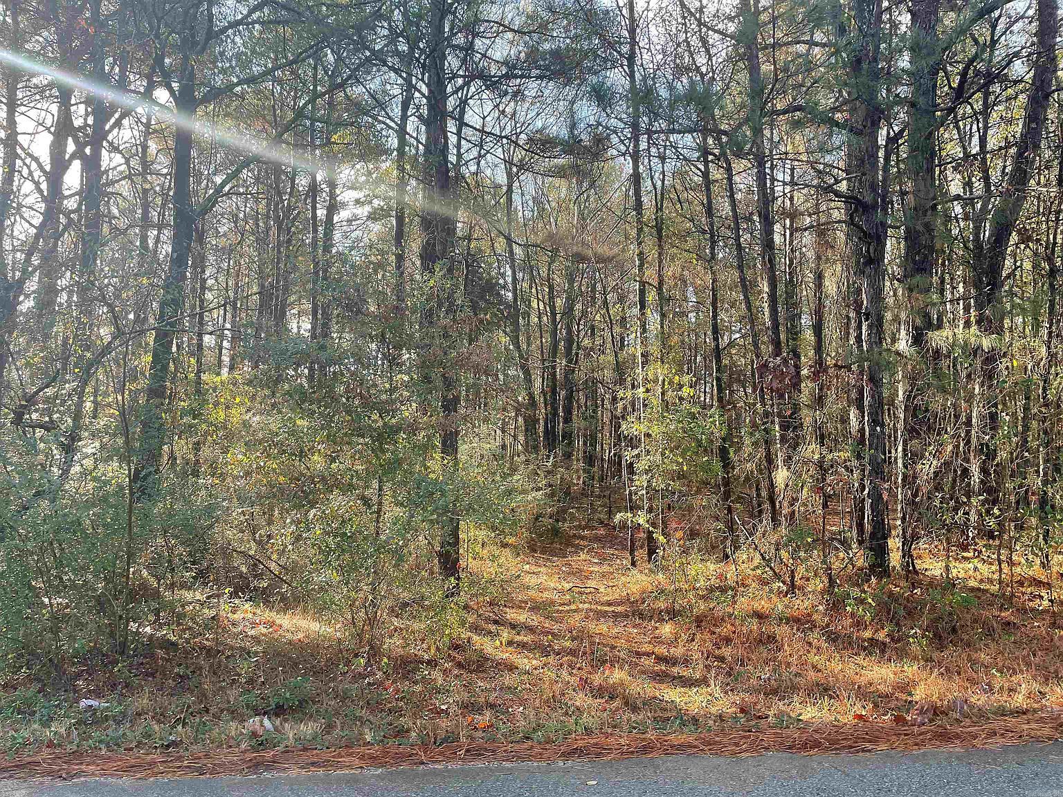 (undisclosed Address) Little Rock, AR 72206 - Thumbnail 2