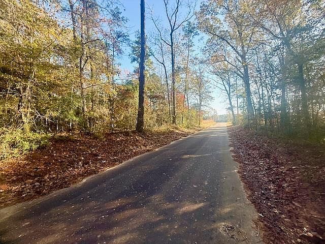 14494/53546 County Road 87 Jasper, TX 75951 - Thumbnail 2