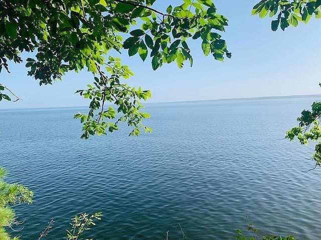 145 Somerset Milam, TX 75959 - Thumbnail 2