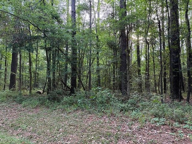 879 Admiral Dr Hemphill, TX 75948  | Land/Lot