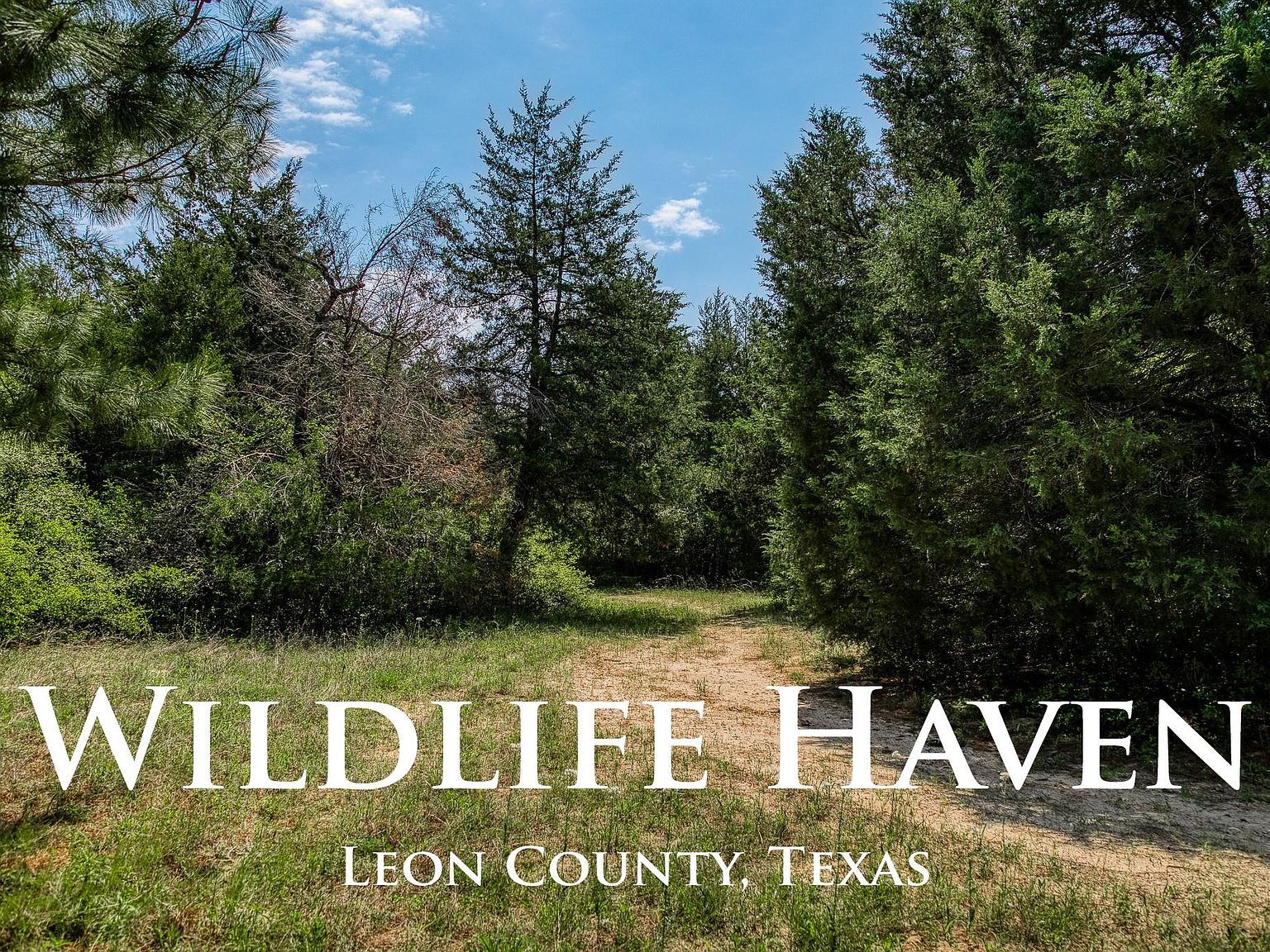 7266 County Road 449 Marquez, TX 77865 - Thumbnail 2