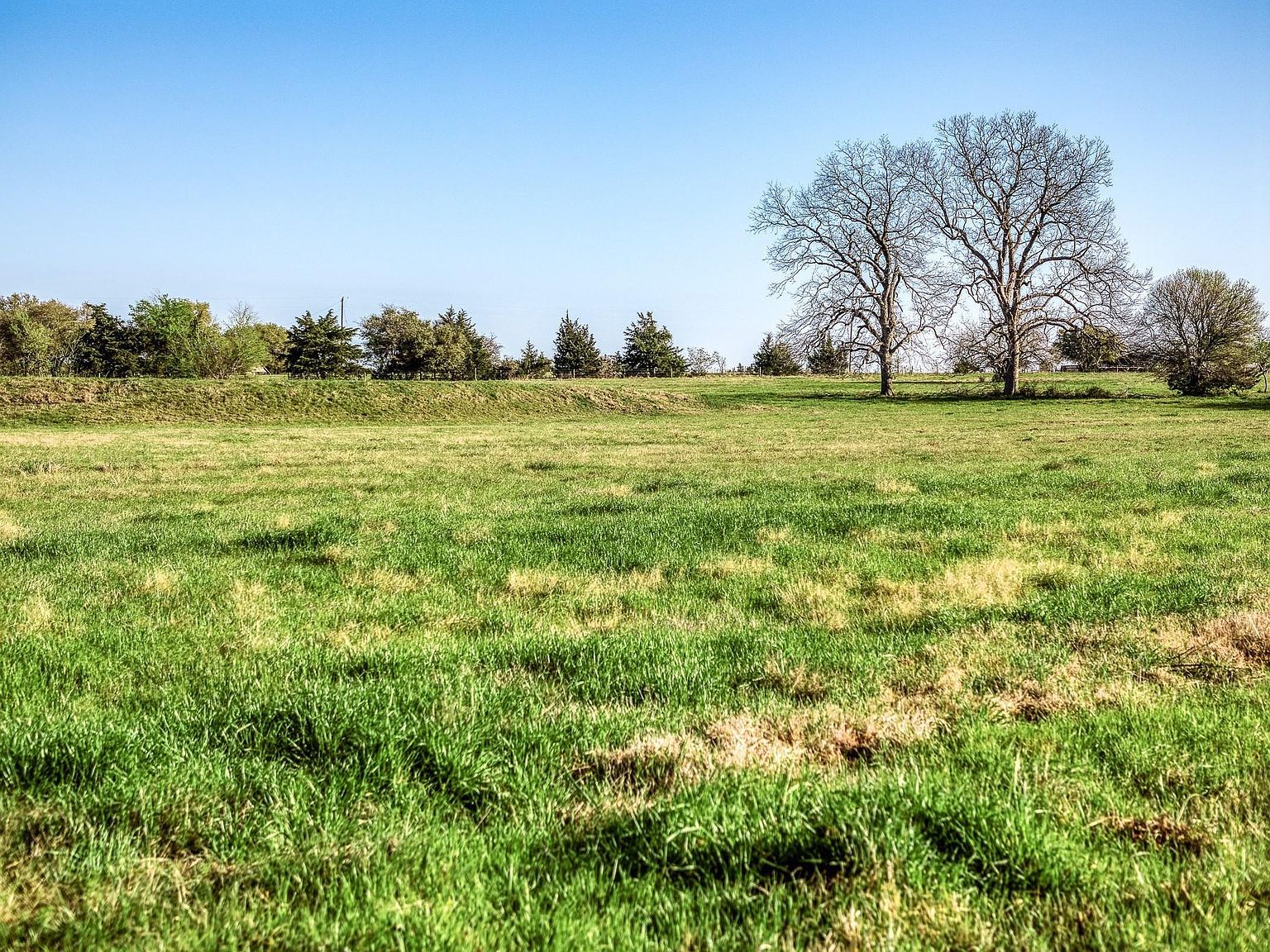 Tracts 10&11 Fieldcrest Ln Burton, TX 77835 - Thumbnail 2