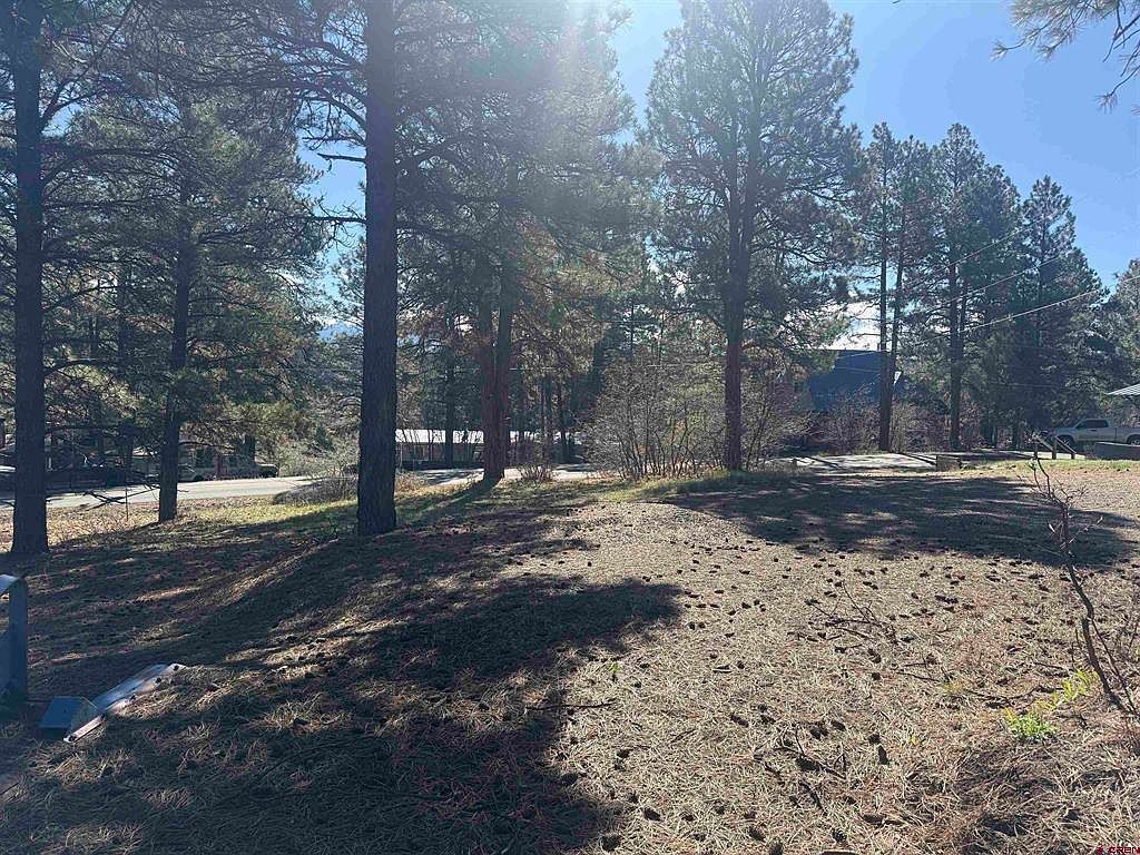 19 Bienvenido Cir Pagosa Springs, CO 81147  | Land/Lot